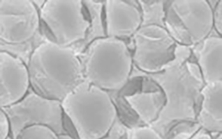 1929cc威尼斯?(中国游)有限公司官网