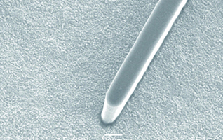 1929cc威尼斯?(中国游)有限公司官网